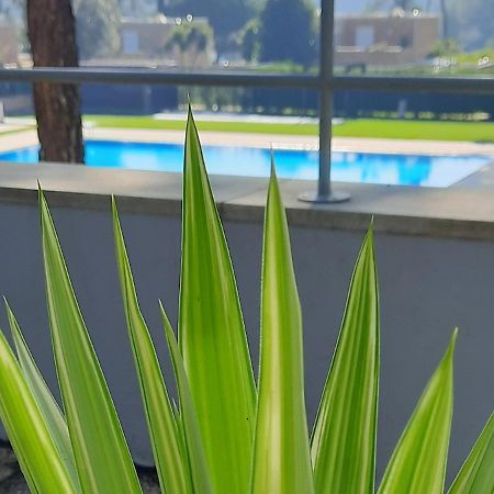 Barca House - Nature - Golf - Pool & Beach إسبونسيندي المظهر الخارجي الصورة